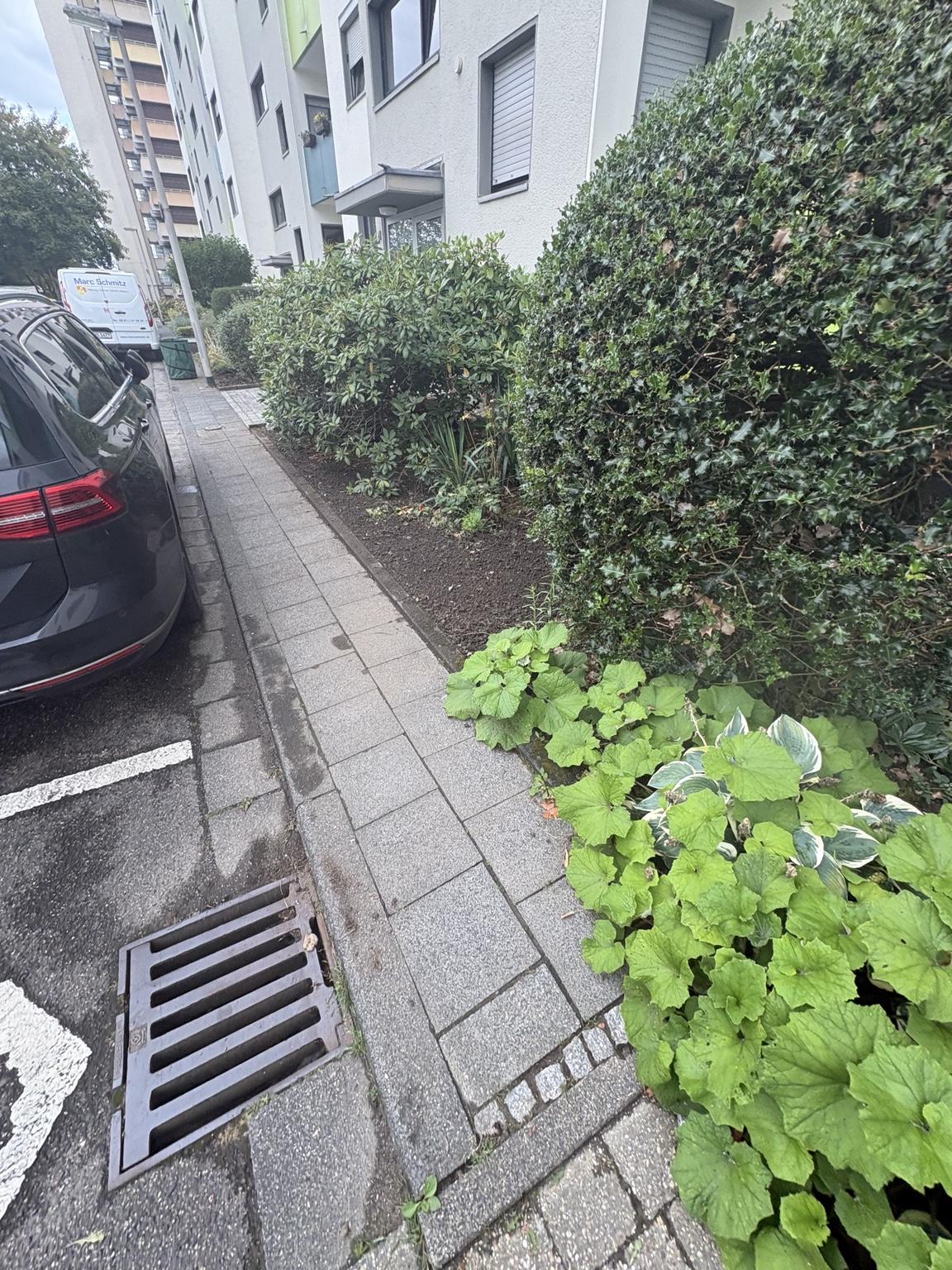 Gepflegte Hecken und Grünflächen vor einem Wohngebäude
